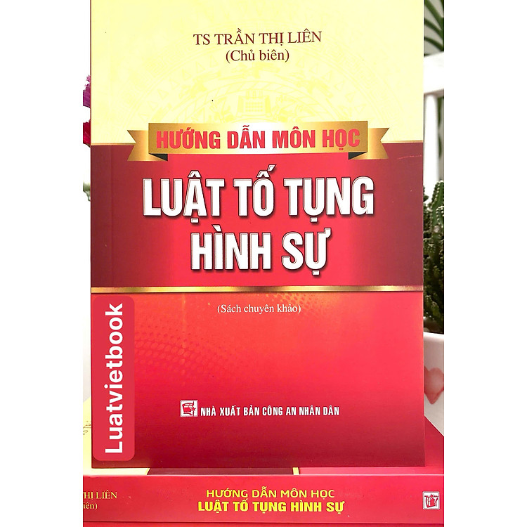 Hướng Dẫn Môn Học Luật Tố Tụng Hình Sự