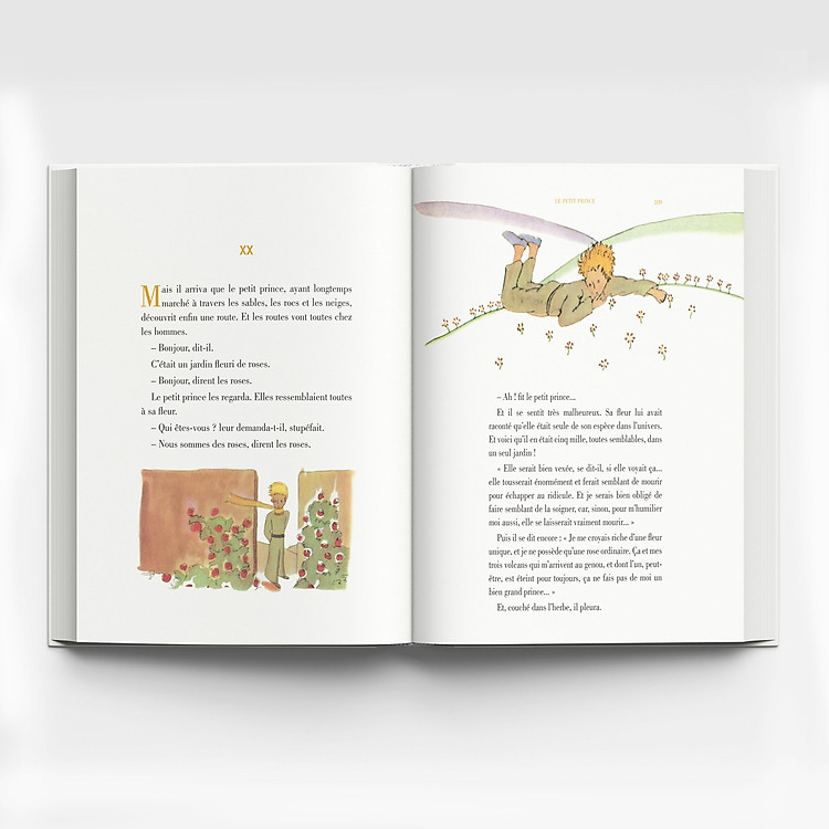 HOÀNG TỬ BÉ – song ngữ Việt Pháp - Ảnh 4