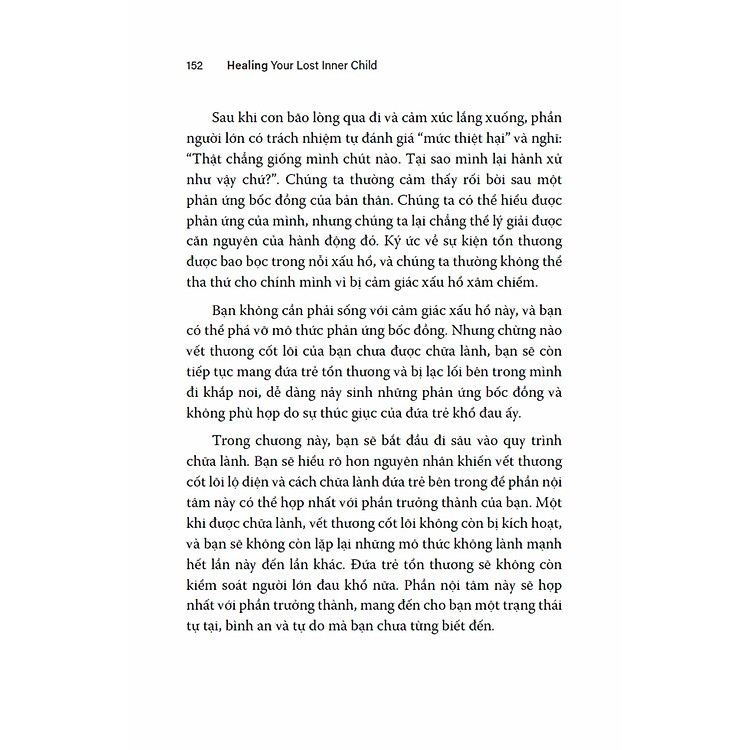 Chữa Lành Đứa Trẻ Tổn Thương Bên Trong - Ảnh 5