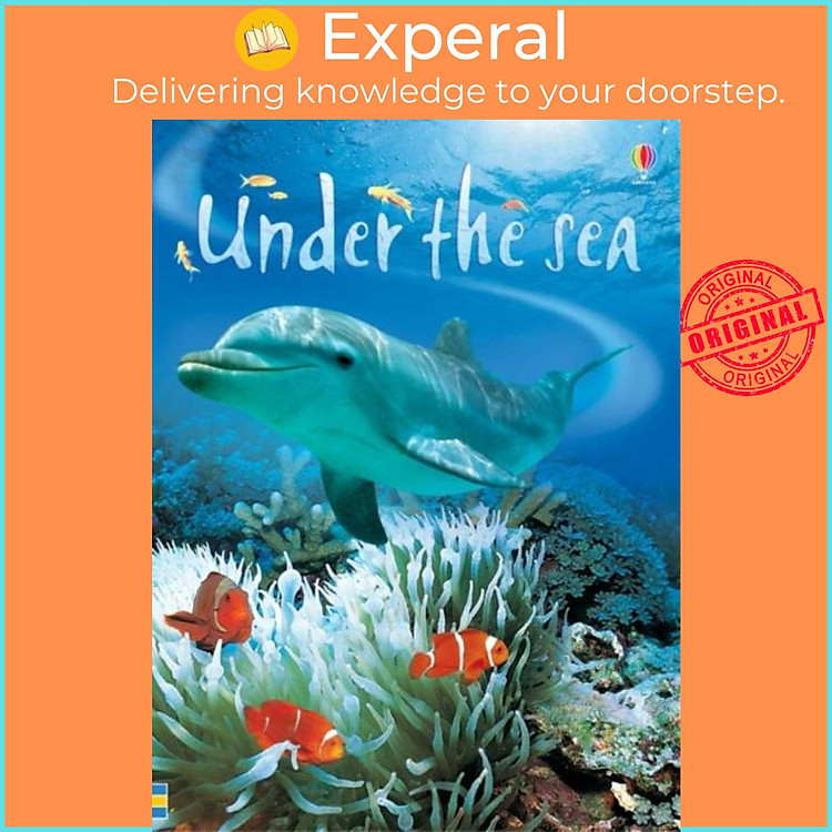 Sách - Under the Sea by Fiona Patchett (UK edition, hardcover)