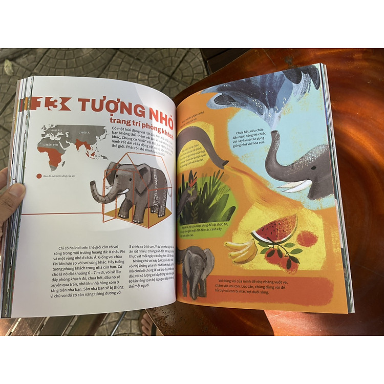 23 SẢN PHẨM ĐẨY CÁC LOÀI SINH VẬT ĐẾN BỜ VỰC TUYỆT CHỦNG – từ điển động vật quý hiếm (ấn bản kỷ niệm 65 năm thành lập NXB Kim Đồng) - Ảnh 4