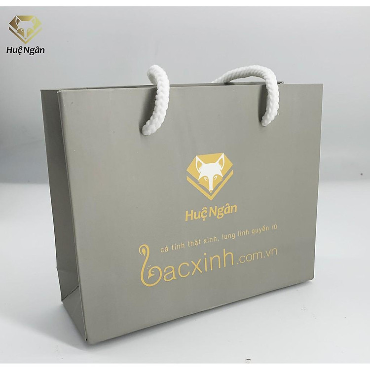 Túi Giấy Cứng Huệ Ngân TTSHN01 - Ảnh 6