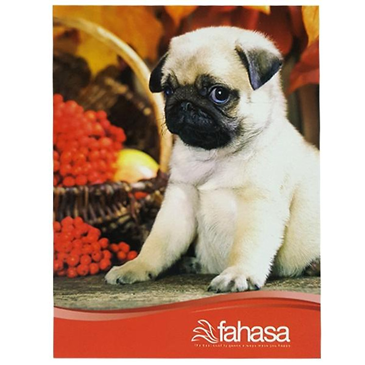 Tập 4 Ly Ngang 200 Trang ĐL 60g/m2 (5 tập) - Ảnh 7