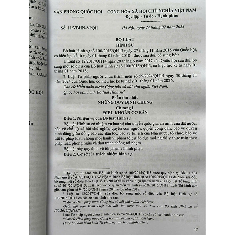 Bộ Luật Hình Sự, Bộ Luật Tố Tụng Hình Sự sửa đổi, bổ sung năm 2025 (V2599T) - Ảnh 5