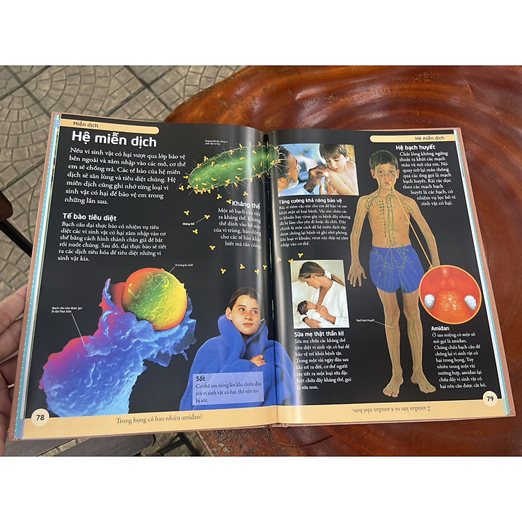 Bách Khoa Cơ Thể Người - Ảnh 2