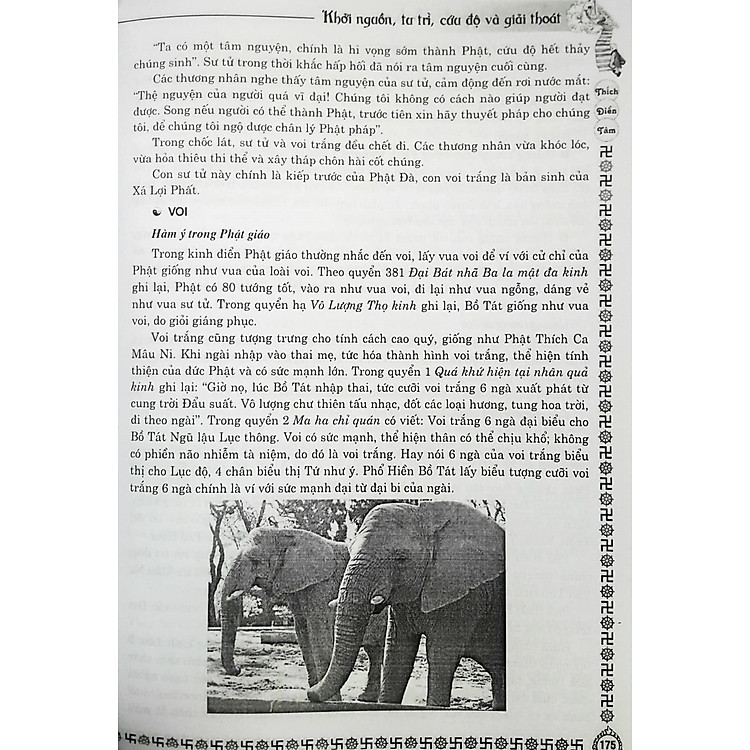 Phật Học Tinh Hoa - Khởi Nguồn, Tu Trì, Cứu Độ - Ảnh 5