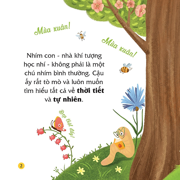 Truyện Kể Bốn Mùa - Nhím Con Ham Học Hỏi - Ảnh 2