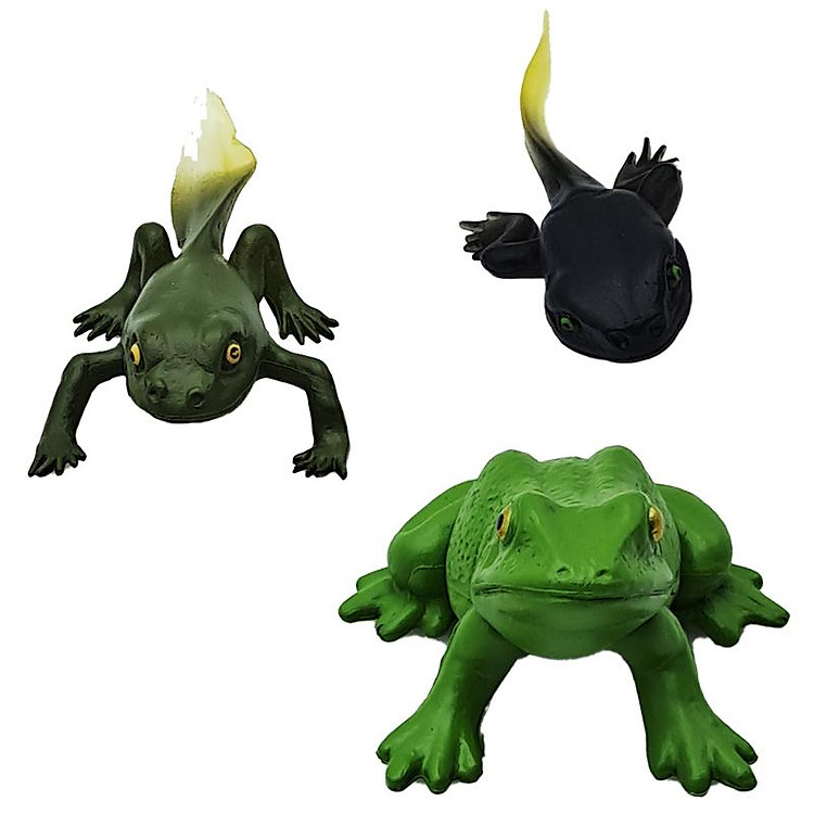 Đồ Chơi Mô Hình Vòng Đời Ếch Chính hãng Giá rẻ - Hình ảnh 5