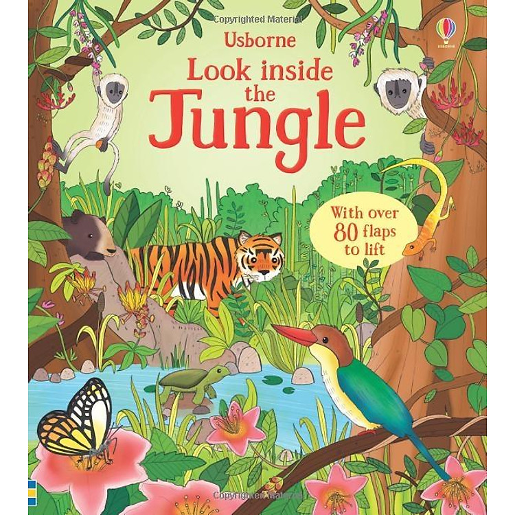 Tương Tác Tiếng Anh – Usborne Look Inside the Jungle