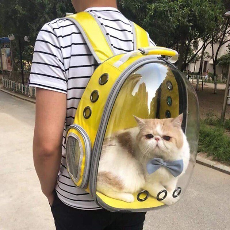 Balo nhựa trong cho mèo dưới 7kg - Màu ngẫu nhiên