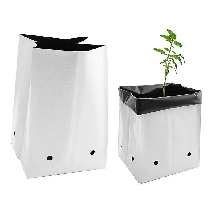 Combo 20 Túi PE Hai Lớp Trồng Cây Tiện Lợi, Dễ Sử Dụng