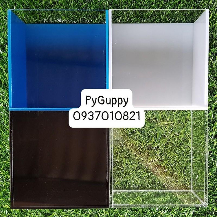Keo Show Cá ACrylic Siêu Trong-Trong-Trắng-Xanh-Đen-show cá betta-Guppy-7màu-Neon-Hồ nuôi cá Mini 12x7x12-15x8x15