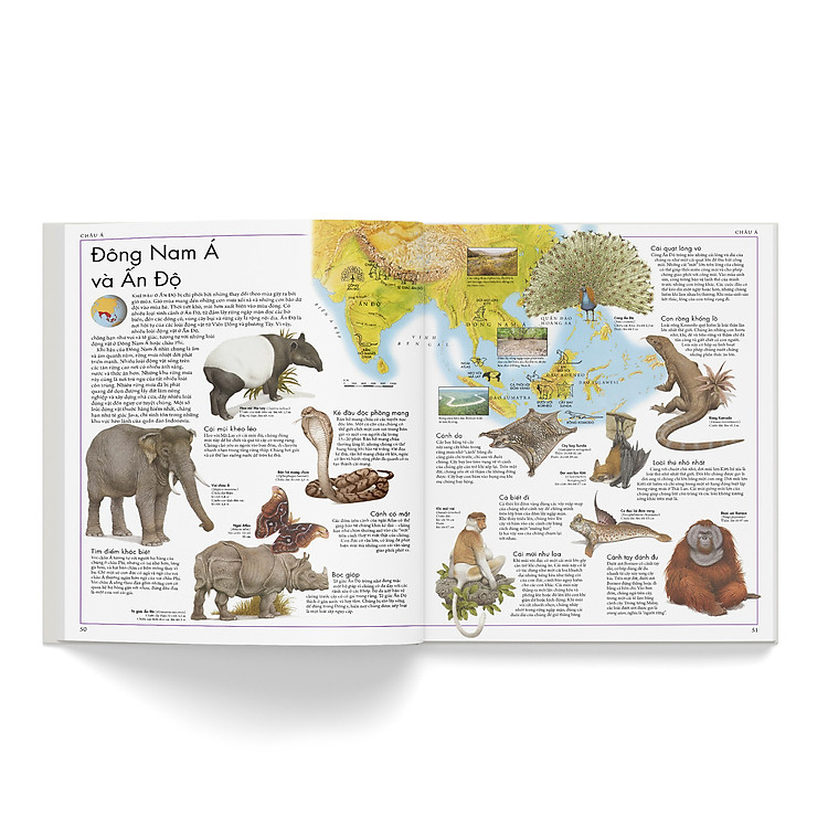 ATLAS ĐỘNG VẬT - Ảnh 2