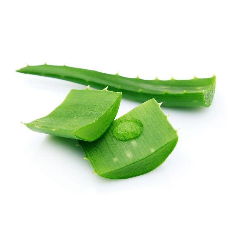 Nha đam (long tu) 600-700g-2273630000001