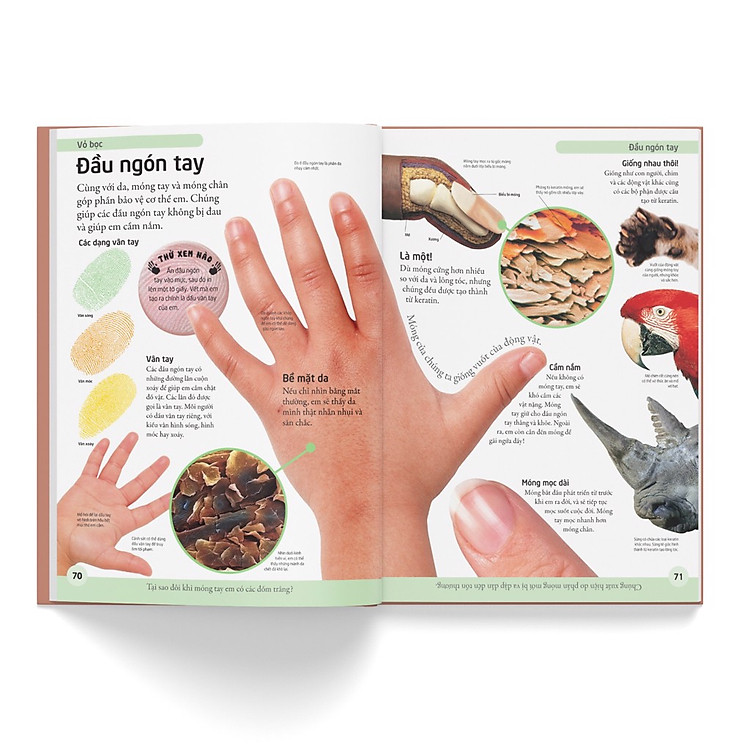 Bách Khoa Cho Trẻ Em – Bách Khoa Cơ Thể Người - Ảnh 5