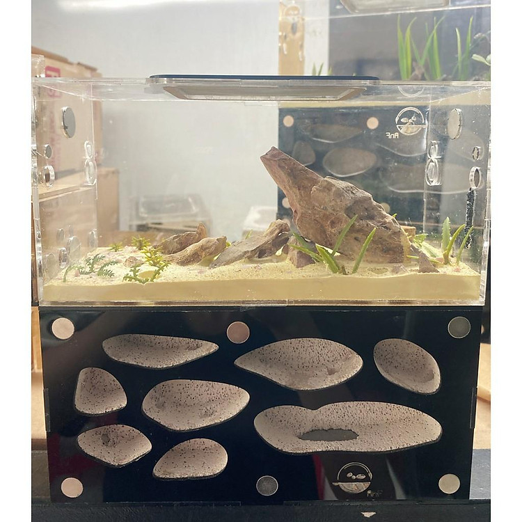 D03-Hộp nuôi kiến/Tank nuôi kiến/ Tank kiến/ Nhà cho kiến/ chuồng kiến