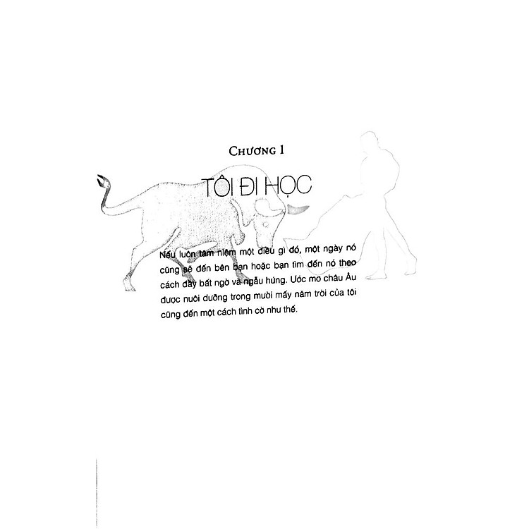 Tây Ban Nha - Hành Trình Không Ngôn Ngữ - Ảnh 4