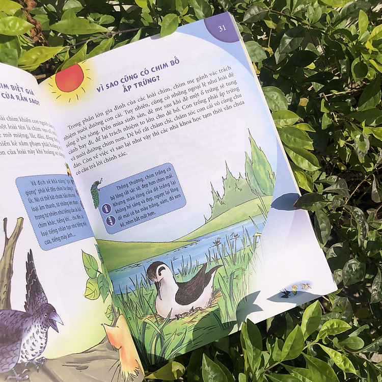 10 Vạn Câu Hỏi Vì Sao - Động Vật Biết Bay Và Thực Vật - Ảnh 7