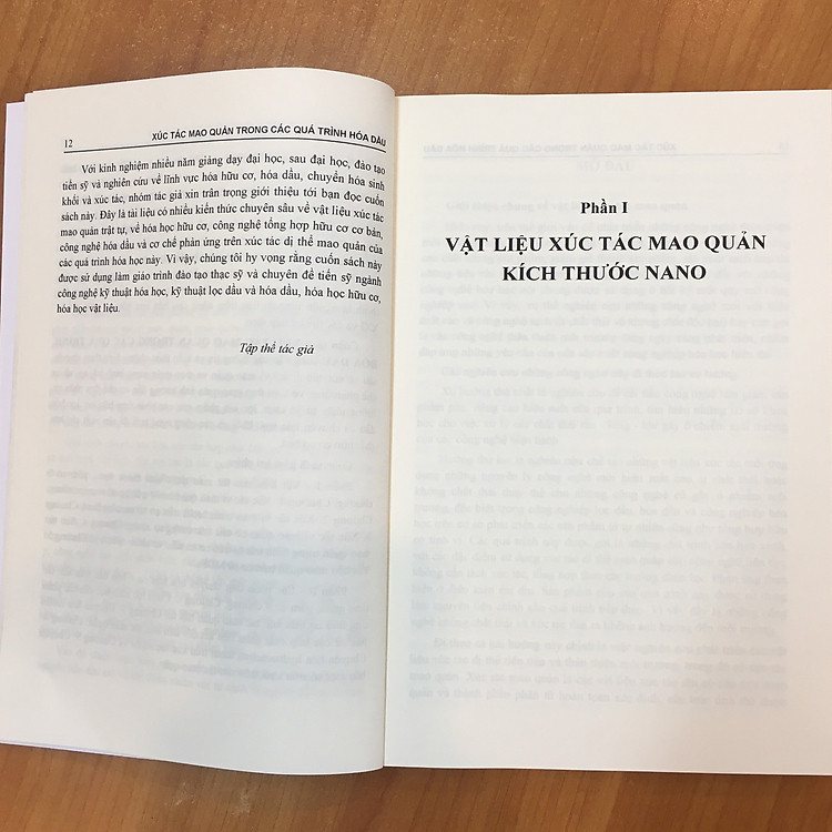 Xúc Tác Mao Quản Trong Quá Trình Hóa Dầu - Ảnh 5