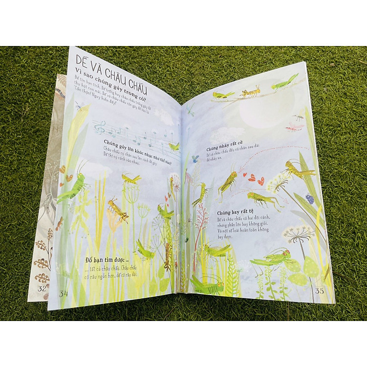 A LÊ HẤP! - THẾ GIỚI BỌ - Ảnh 3