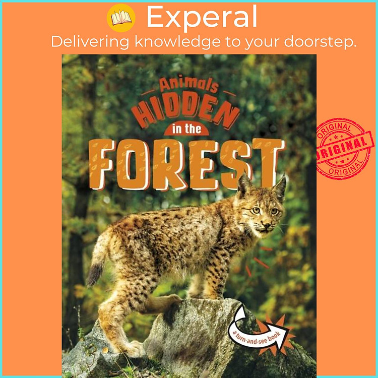 Sách - Animals Hidden in the Forest by Jessica Rusick (UK edition, paperback)