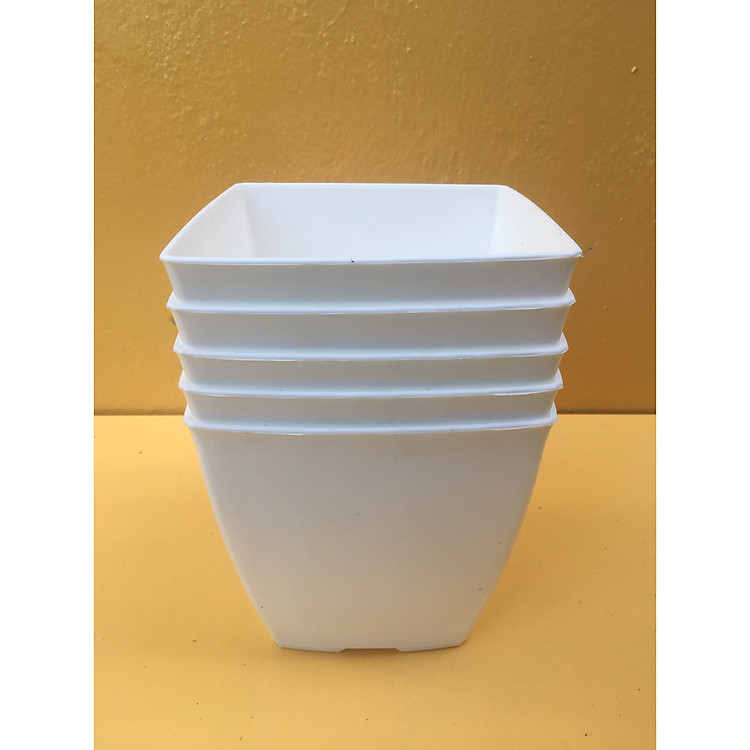 Combo 5 Chậu vuông cạnh 16x16 cm trồng cây cảnh màu trắng