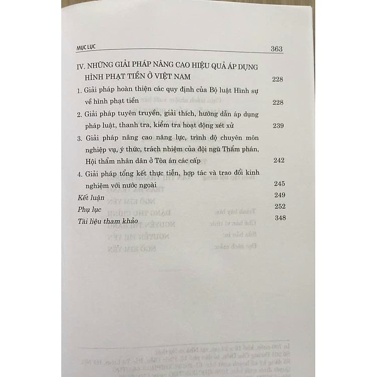 Hình Phạt Tiền Trong Pháp Luật Hình Sự Việt Nam Và Thực Tiễn Áp Dụng - Ảnh 5