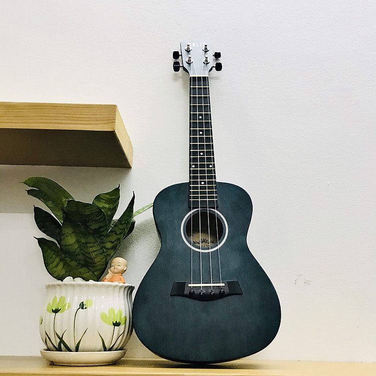 Đàn Ukulele gỗ Concert Molin UK-2300 (23")