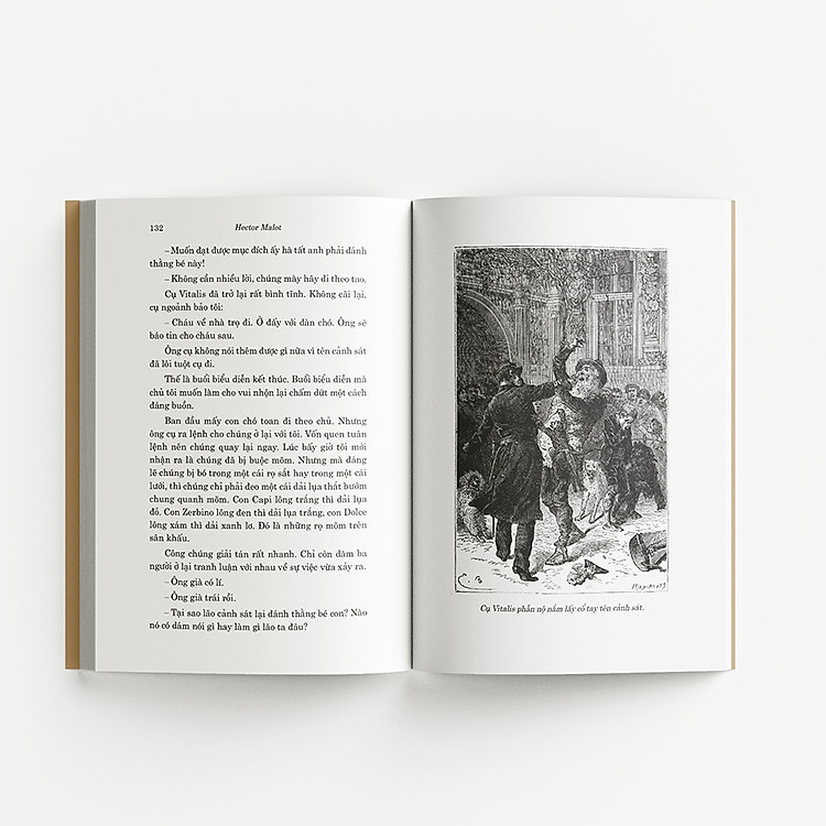 Classic - Không Gia Đình - Ảnh 5