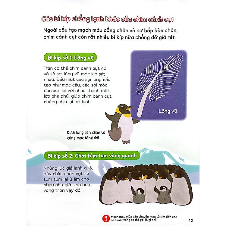 Gi Gỉ Gì Gi, Cái Gì Cũng Biết - Dành Cho Lớp 3 - Ảnh 3