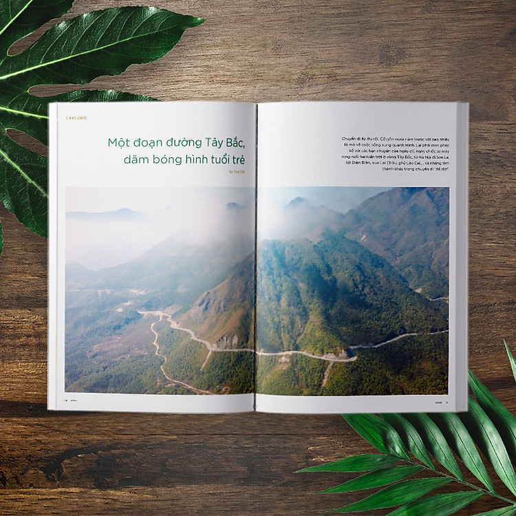 WOWWEEKEND ORIGINAL 04 - NÚI RỪNG VIỆT NAM 2020 - Ảnh 3