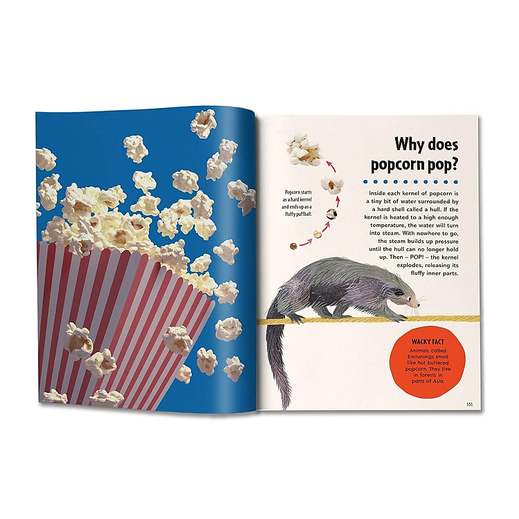 Britannica First Big Book Of Why - Ảnh 2