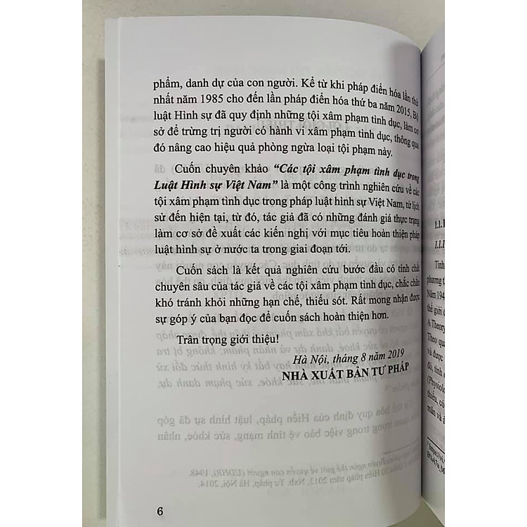 Các Tội Xâm Phạm Tình Dục Trong Luật Hình Sự Việt Nam - Ảnh 3