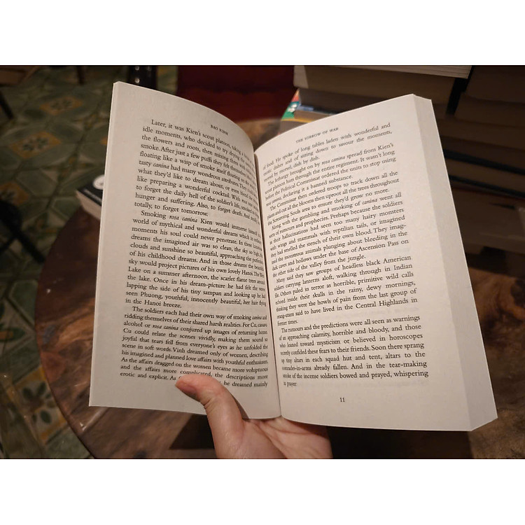 The Sorrow of War - Ảnh 4