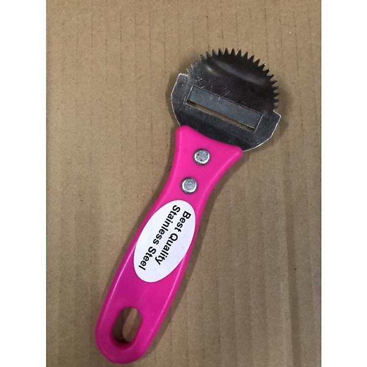 Dụng cụ nạo dừa cầm tay inox cán nhựa chắc chắn dùng bào dừa bào dừa nhuyễn có lưỡi gọt vỏ dừa - màu ngẫu nhiên