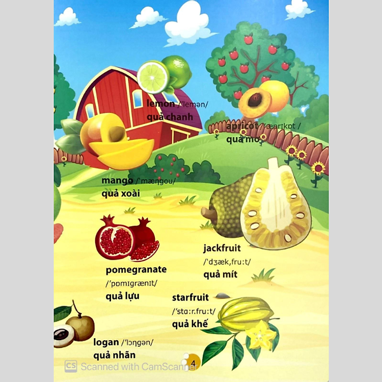 Từ Điển Phát Triển Ngôn Ngữ Bằng Hình Dành Cho Trẻ Mầm Non - Ảnh 5