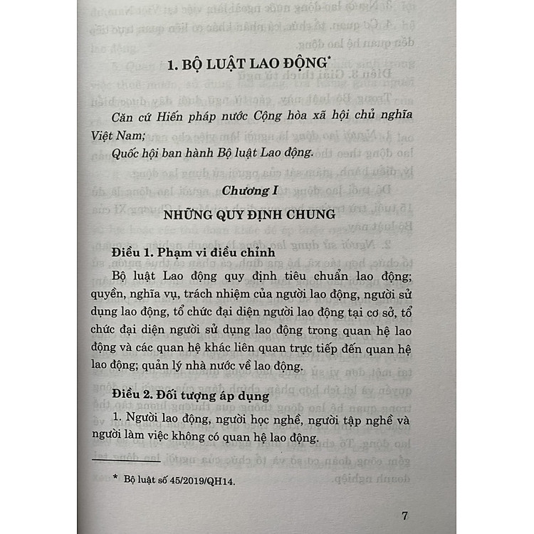 Bộ Luật Lao Động Năm 2019 Và Văn Bản Hướng Dẫn Thi Hành - Ảnh 3