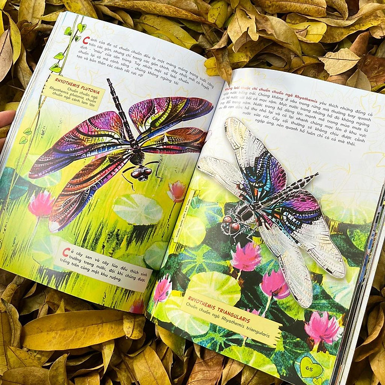 Bộ Sinh vật học kỳ thú - Những cư dân tí hon của rừng Việt Nam - Ảnh 4