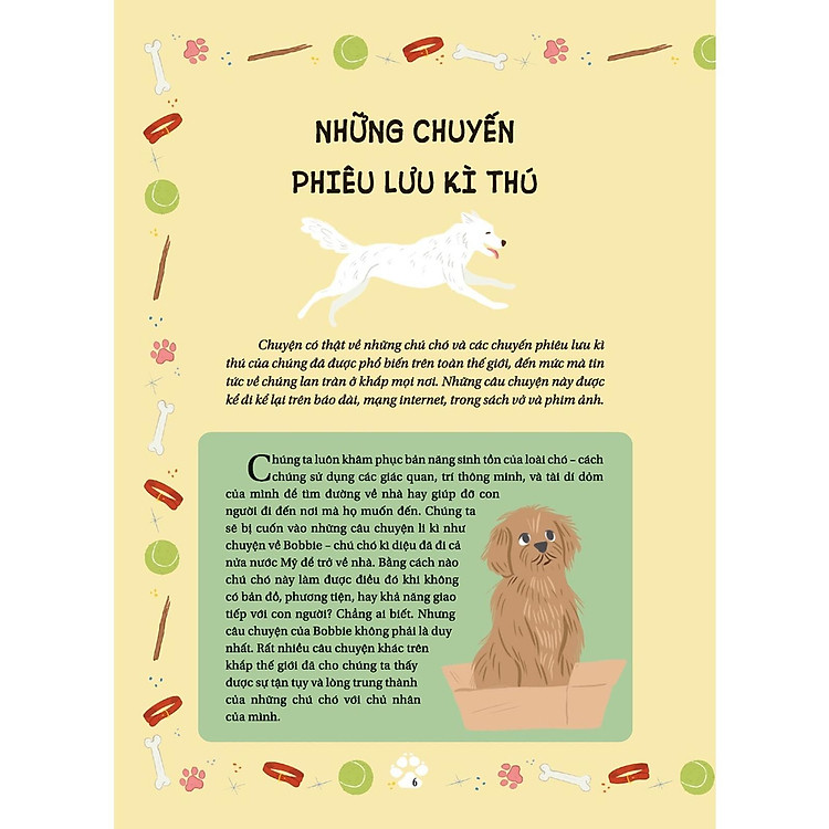 Những Câu Chuyện Về Loài Chó - Những Câu Chuyện Có Thật Về Các Chú Chó Anh Hùng - Ảnh 4