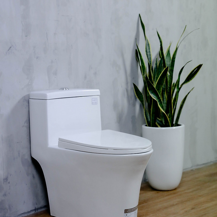 Bôn cầu vệ sinh liền khối BASICS BSA - 125