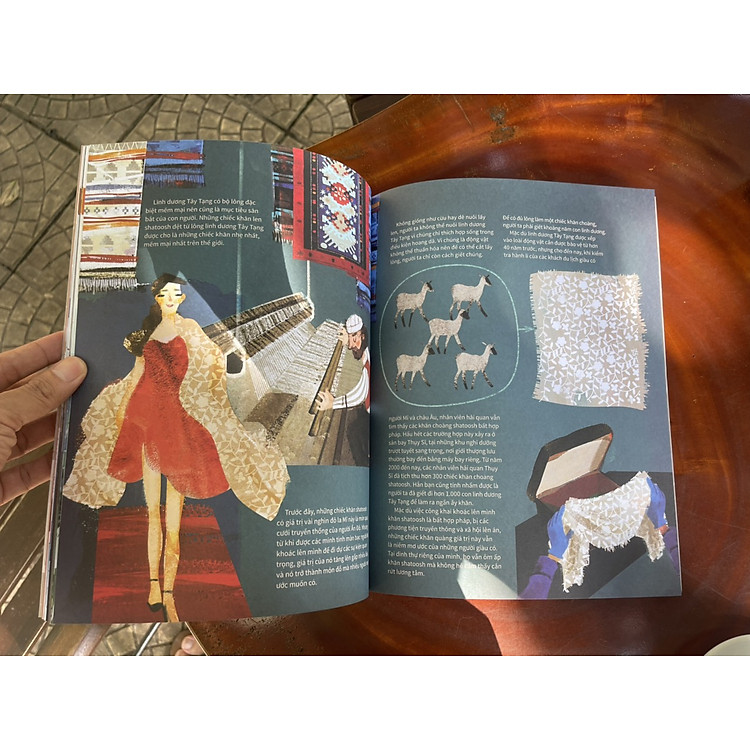 23 SẢN PHẨM ĐẨY CÁC LOÀI SINH VẬT ĐẾN BỜ VỰC TUYỆT CHỦNG – từ điển động vật quý hiếm (ấn bản kỷ niệm 65 năm thành lập NXB Kim Đồng) - Ảnh 3