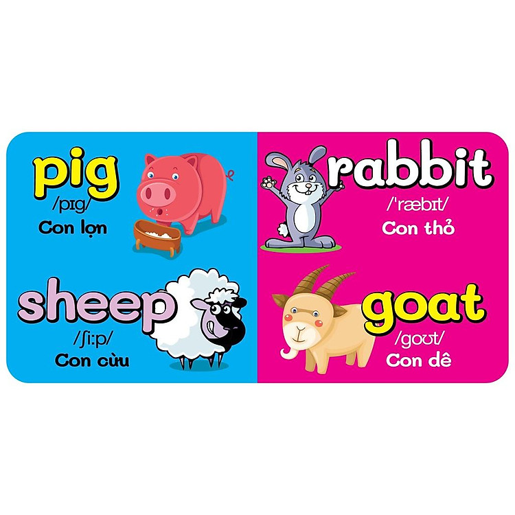 Bộ 18 Quyển Từ Điển Bằng Hình Đầu Tiên Của Bé Từ 0-6 Tuổi - Anh-Việt - Ảnh 7