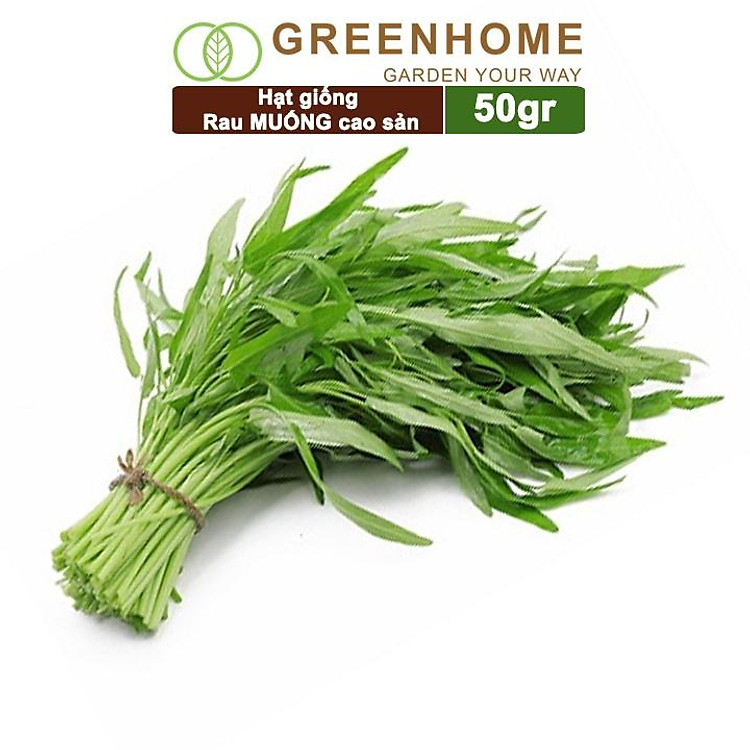 Hạt giống rau Muống cao sản, gói 50g~1200 hạt, dễ trồng, thu hoạch nhanh R09