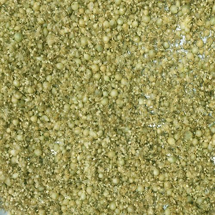 Dầu Tràm Hoa Nén nguyên chất cho bé 100ml Chính hãng Giá rẻ - Hình ảnh 2