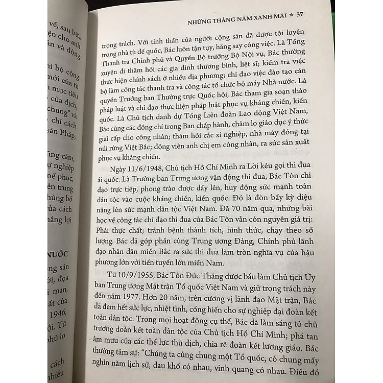 Những Năm Tháng Xanh Mãi - Ảnh 5