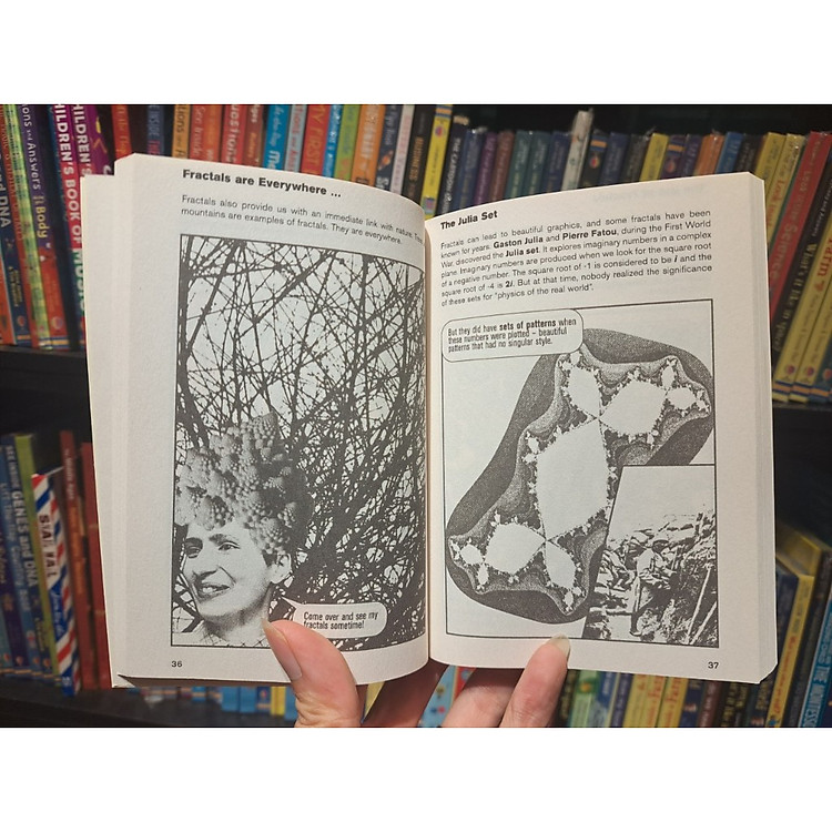 Introducing Chaos: A Graphic Guide - Ảnh 3