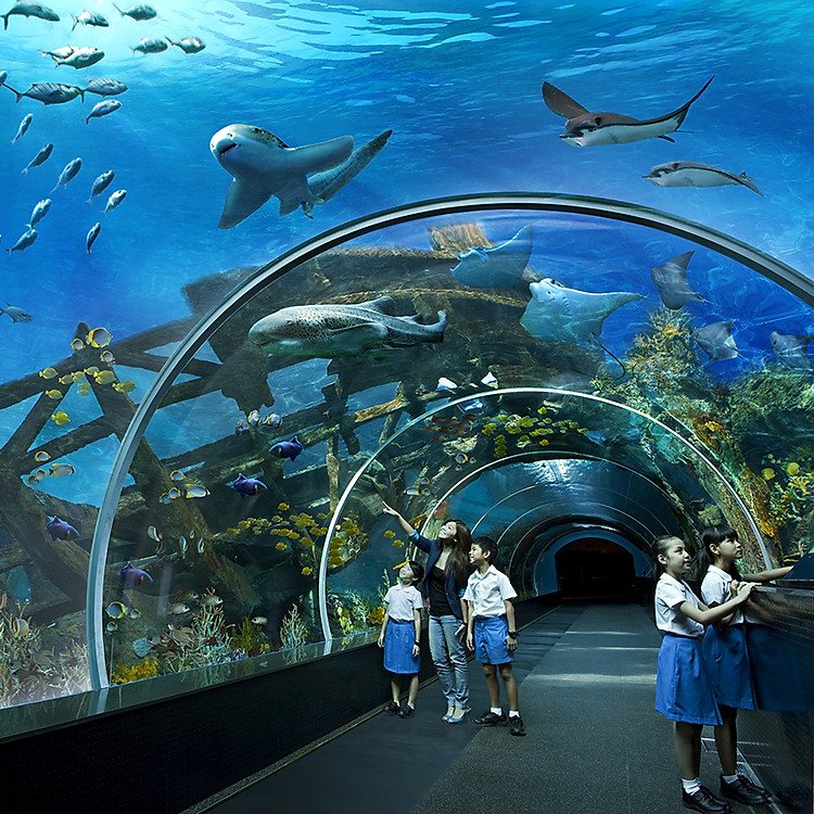 Vé Sea Aquarium