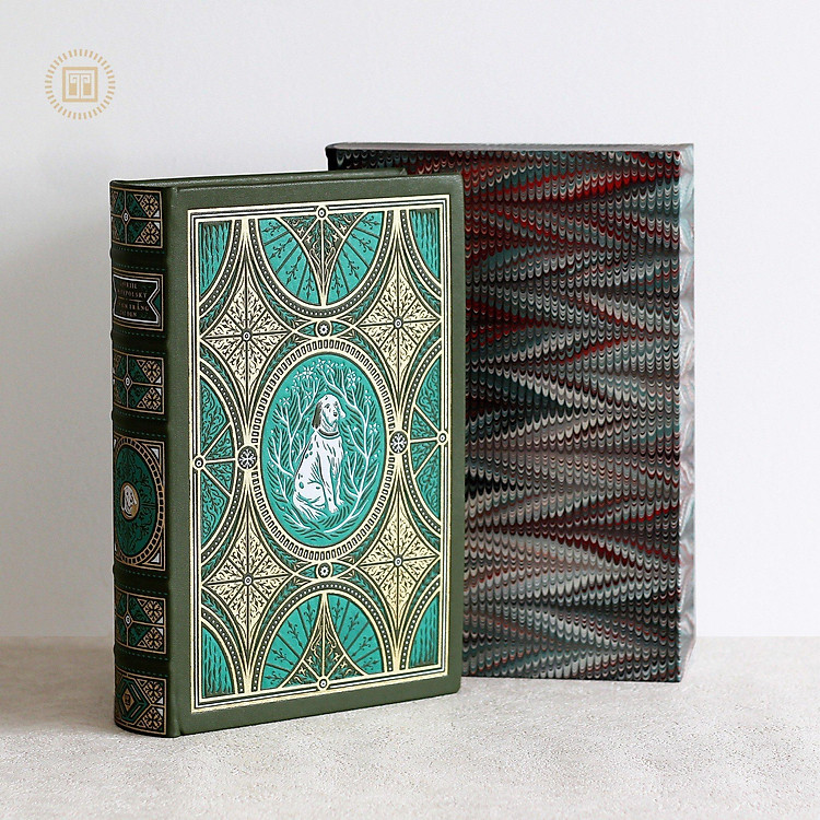 Con Bim Trắng Tai Đen - Ảnh 2