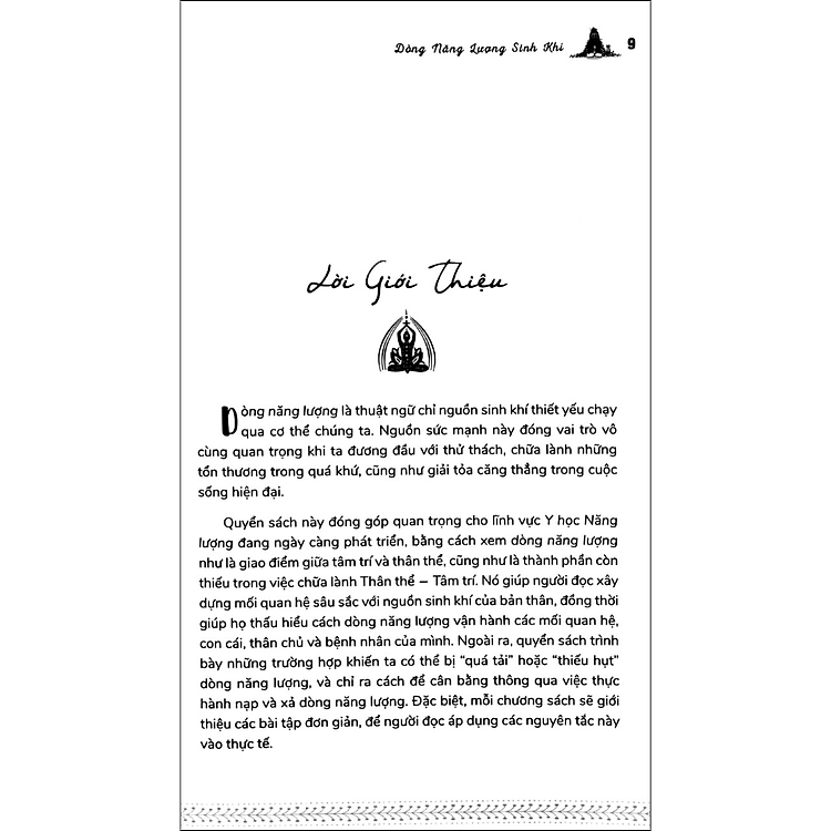 Dòng Năng Lượng Sinh Khí - Ảnh 3