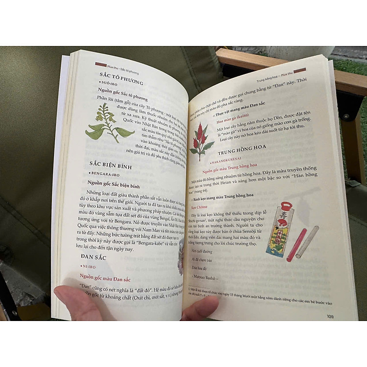 SẮC MÀU NHẬT BẢN – Bốn mùa thiên nhiên & sáng tạo qua các thời đại - Ảnh 5